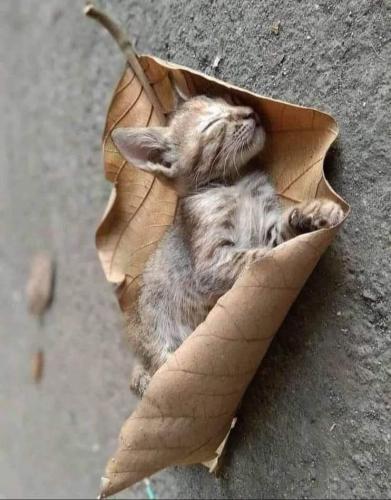 00:11:51 GMT-0600 (CST)