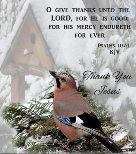 22:14:58 GMT-0600 (CST)