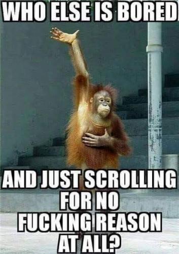 17:40:15 GMT-0500 (EST)