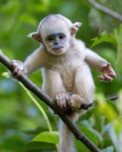 135636280_667237173944509_4200978417482341605_n