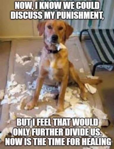 07:49:19 GMT-0600 (CST)