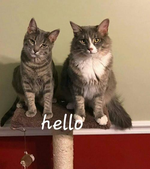 18:24:02 GMT-0500 (EST)