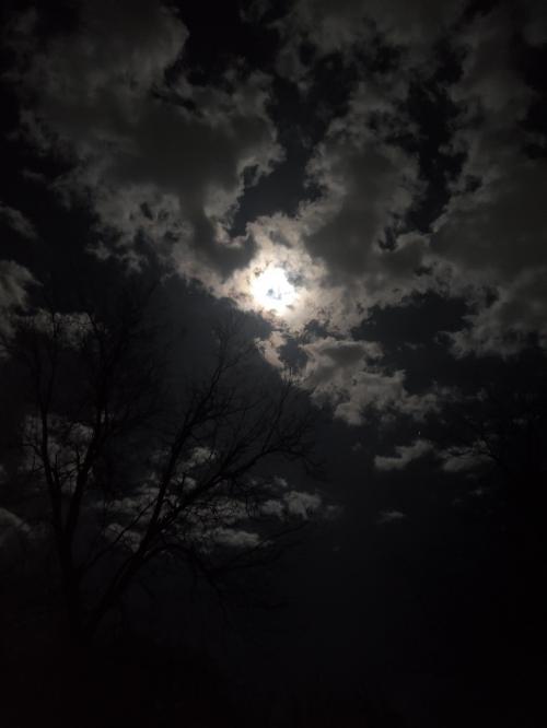 21:33:05 GMT-0600 (CST)