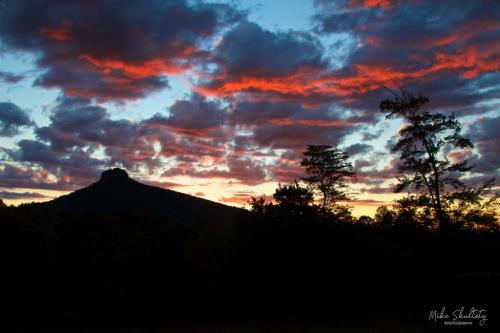 20:03:31 GMT-0500 (EST).image