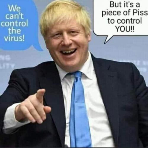 BOJO7