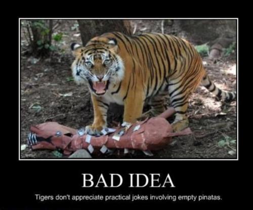 05:16:28 GMT-0600 (CST)