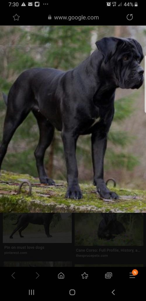 23:20:55 GMT-0600 (CST)