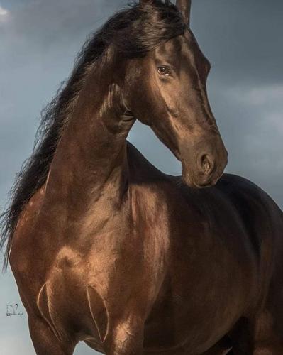 12:28:53 GMT-0600 (CST)