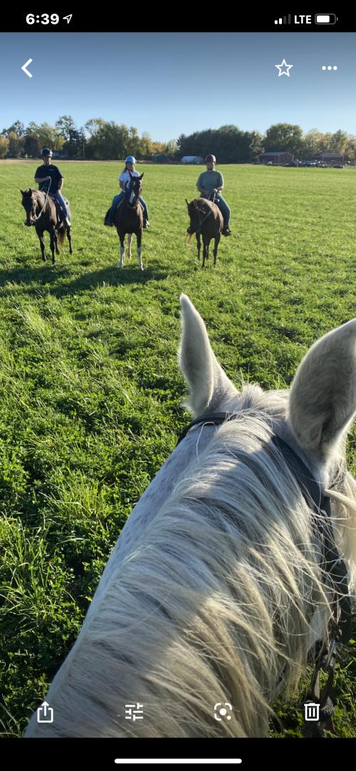 19:35:17 GMT-0500 (EST).image