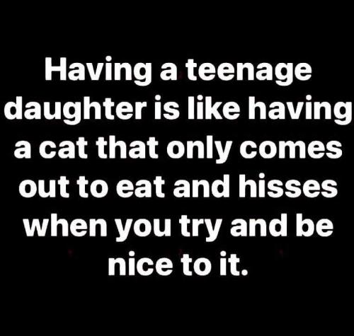 15:25:23 GMT-0500 (EST)