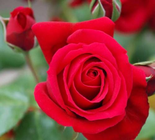 13:26:52 GMT+0100 (WAT)