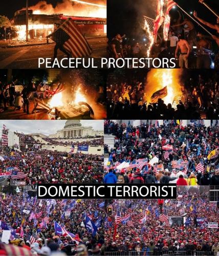 protesors vs terrorists