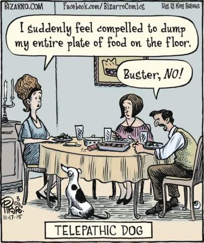 16:48:24 GMT-0500 (EST)