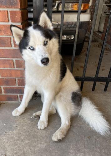 05:41:19 GMT-0600 (CST).image