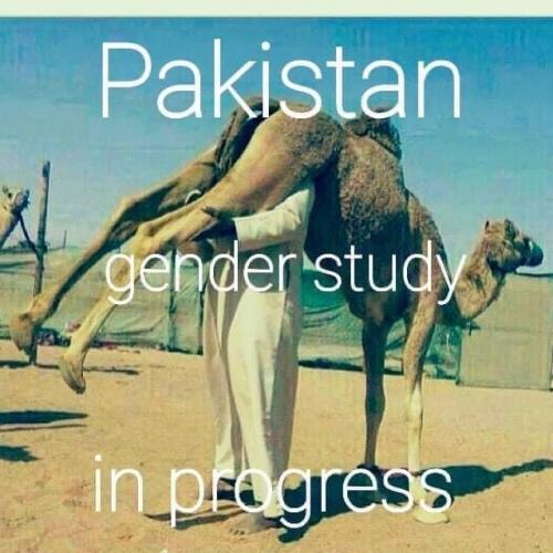 22:38:56 GMT-0800 (PST).image