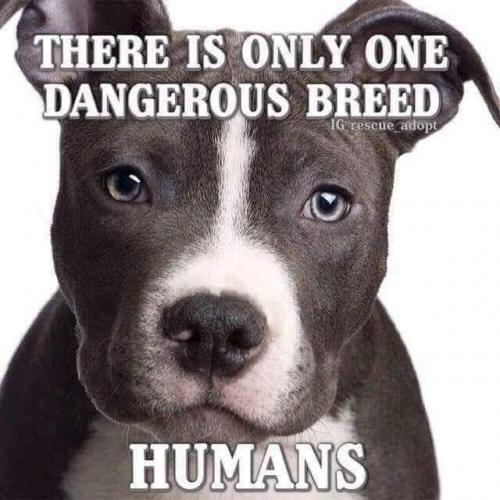 12:30:38 GMT-0500 (EST)