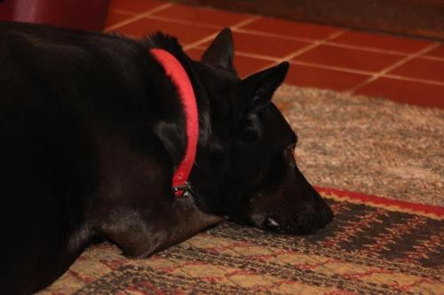 10:04:03 GMT-0600 (CST).image