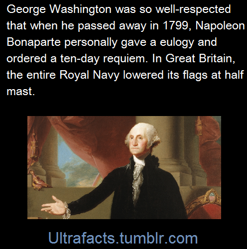 tumblr_nibnu6hhsT1rhavdko1_500