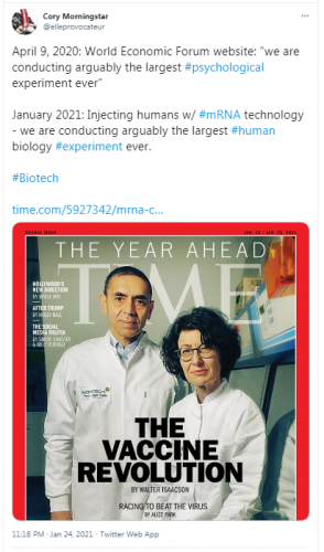 elleprovocateur-violationtwitterrules01