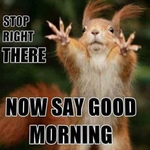 05:34:05 GMT-0600 (CST)