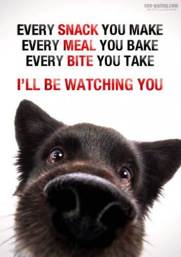 17:21:40 GMT-0500 (EST)