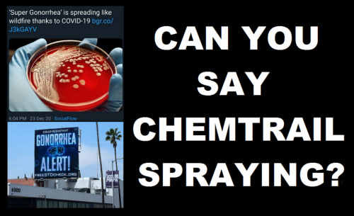 135555601_1012343209256767_5390859397099793692_n