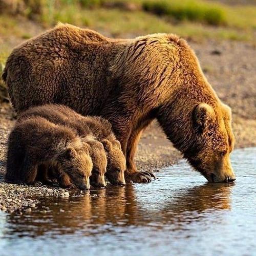 142242276_1783580425141495_7412963644191886961_n