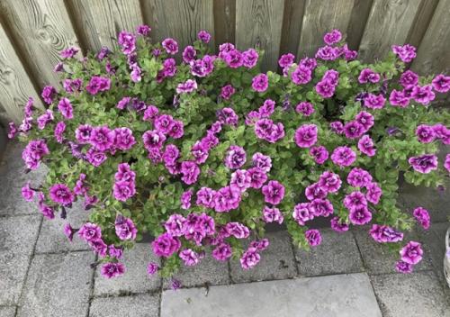 17:52:57 GMT+0100 (WAT).image