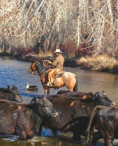 136350978_1248726795512952_419164141813345160_n