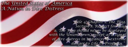 flag-in-distress