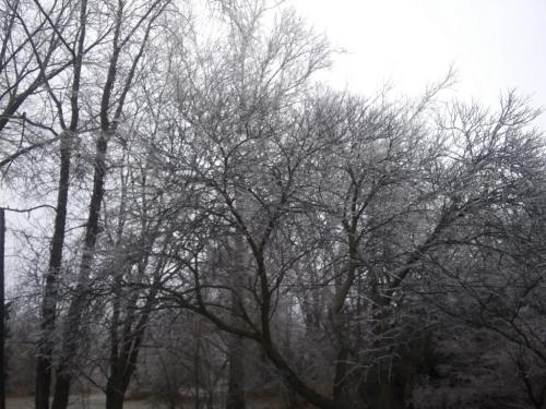 09:17:38 GMT-0600 (CST)