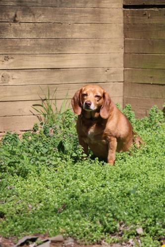 19:04:40 GMT-0600 (CST).image