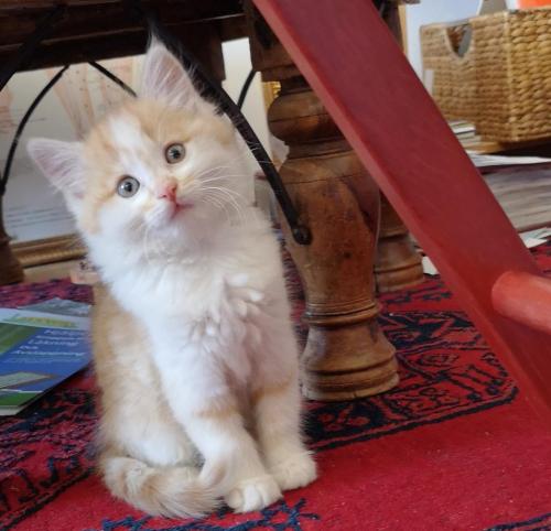 IMG_20200613_091711 (2)