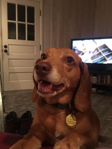 18:53:50 GMT-0600 (CST).image