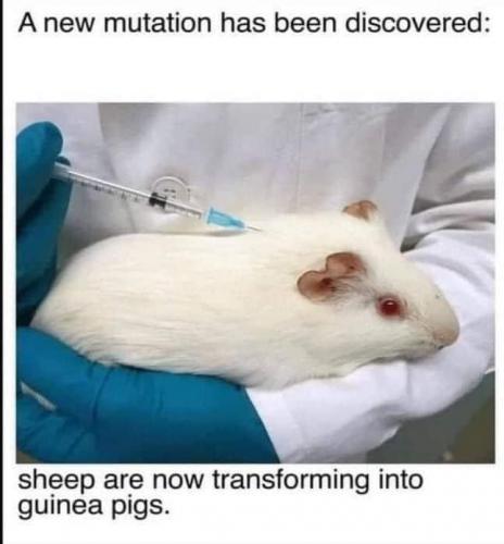 02:32:03 GMT-0500 (EST).image