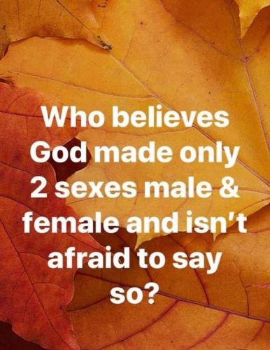 115536700_285333462787793_8594504878096524417_n