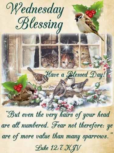 22:29:29 GMT-0600 (CST)