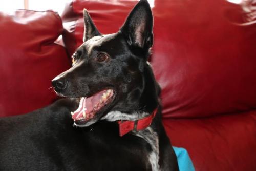 10:04:03 GMT-0600 (CST).image