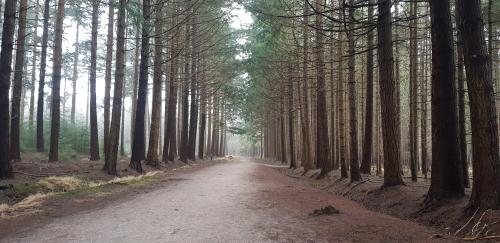 16:47:40 GMT+0100 (CET)