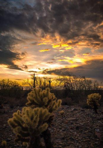 135841478_1486905771508768_6142925707504016314_n