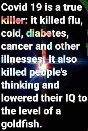 135868988_507254953575237_3207763385961179213_n