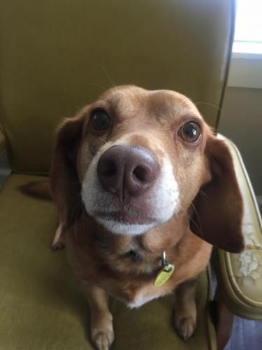 18:53:50 GMT-0600 (CST).image