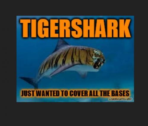 08:55:00 GMT-0500 (EST)