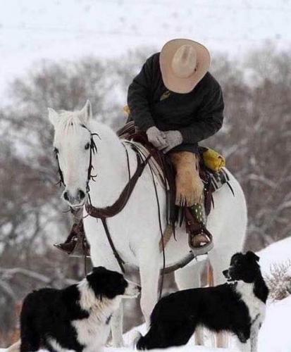 135901644_1246827295702902_4609543950785078394_n