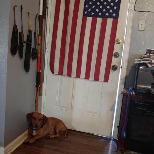 10:41:43 GMT-0600 (CST)