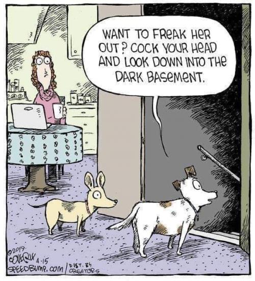 14:48:12 GMT-0500 (EST)