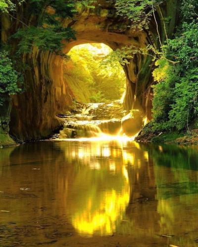 135734510_1486905978175414_7256674512900490872_o