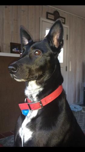 10:18:08 GMT-0600 (CST).image