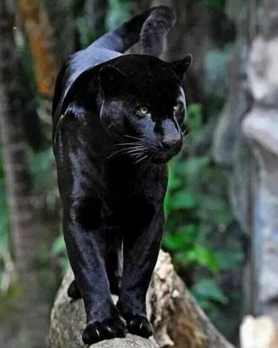 10:55:23 GMT-0600 (CST)