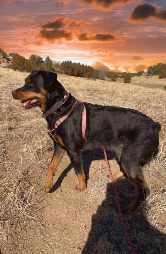 09:39:36 GMT-0700 (MST).image